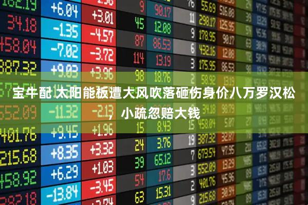 宝牛配 太阳能板遭大风吹落砸伤身价八万罗汉松，小疏忽赔大钱