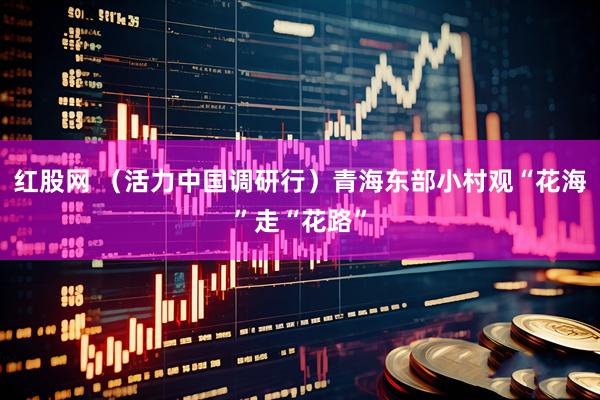 红股网 （活力中国调研行）青海东部小村观“花海”走“花路”