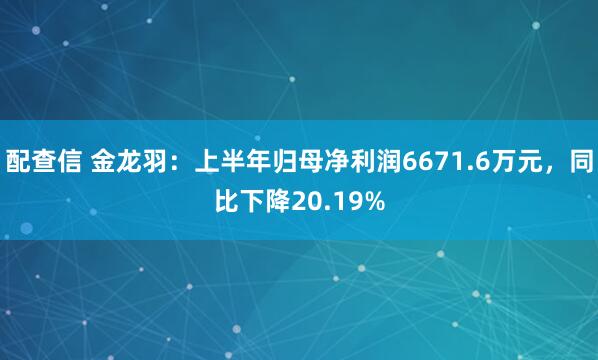 配查信 金龙羽：上半年归母净利润6671.6万元，同比下降20.19%