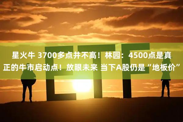 星火牛 3700多点并不高！林园：4500点是真正的牛市启动点！放眼未来 当下A股仍是“地板价”