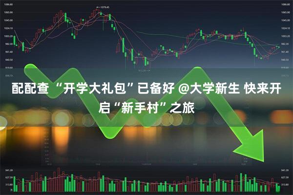 配配查 “开学大礼包”已备好 @大学新生 快来开启“新手村”之旅