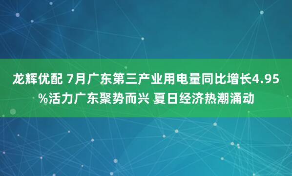 龙辉优配 7月广东第三产业用电量同比增长4.95%活力广东聚势而兴 夏日经济热潮涌动