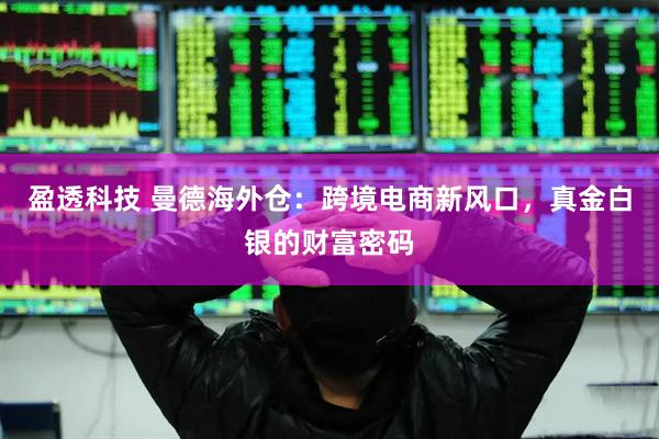盈透科技 曼德海外仓：跨境电商新风口，真金白银的财富密码